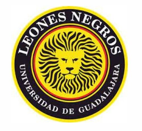 Leones Negros